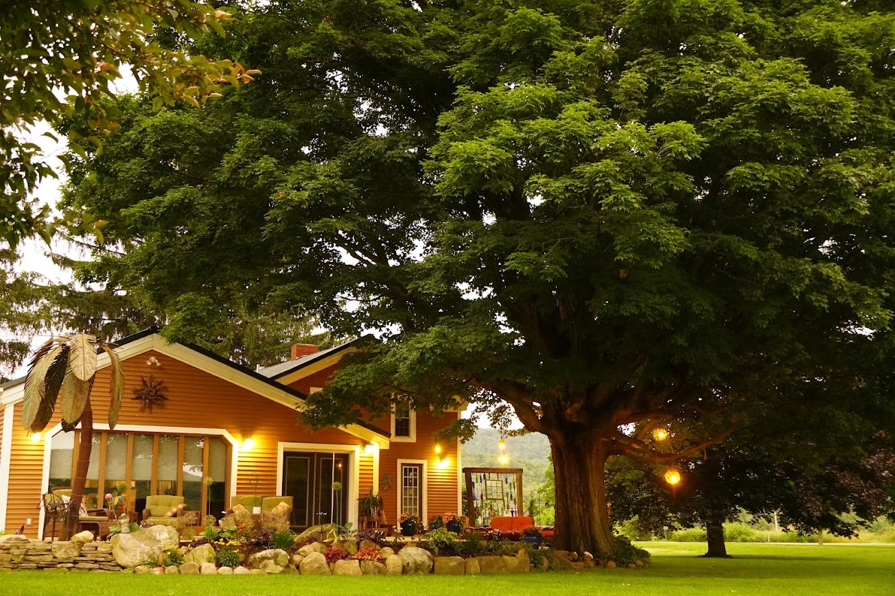 Back of the farm house with the big tree on the right