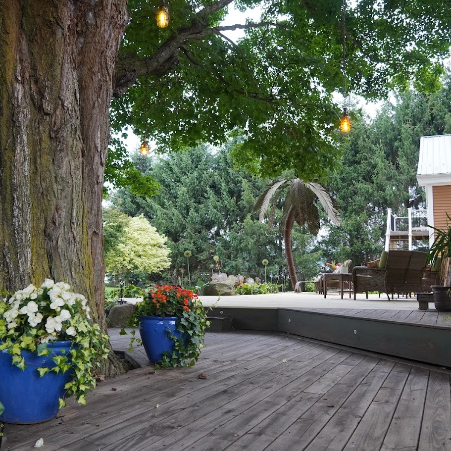 blue flower pots with white, red, and pink flowers on the back deck