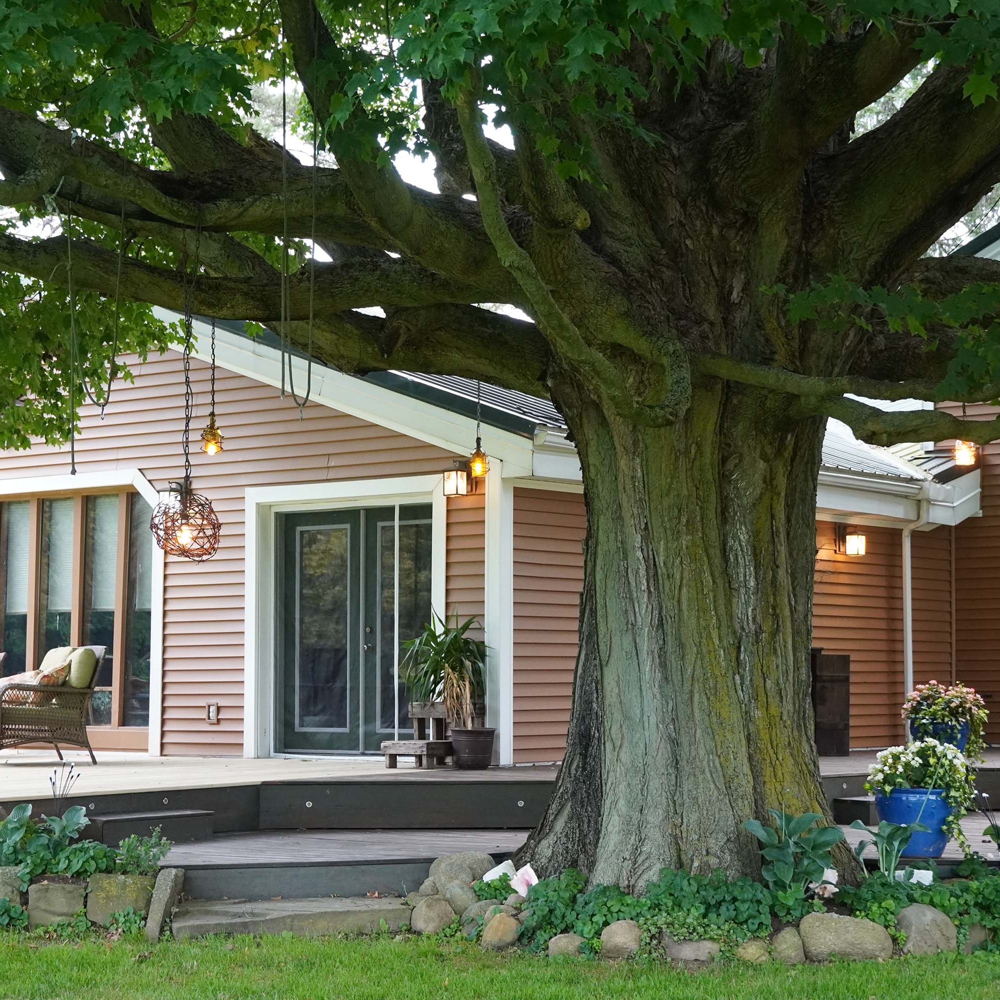 View of the back deck from under the big tree towards the back double green door and big window