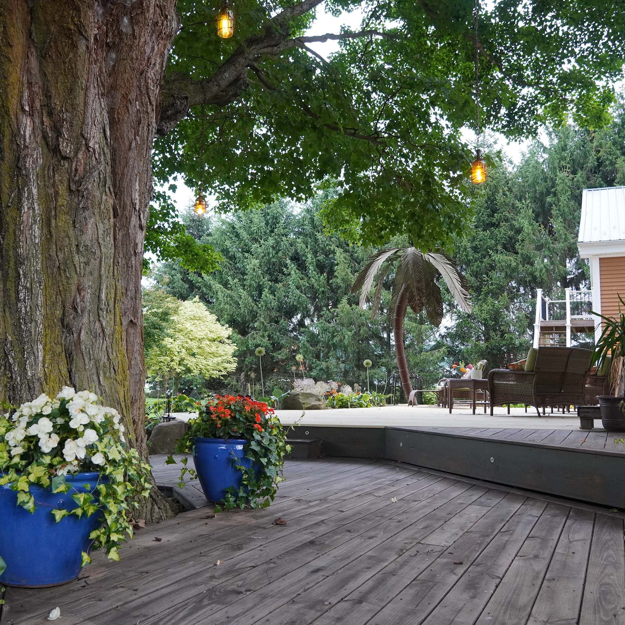 blue flower pots with white, red, and pink flowers on the back deck