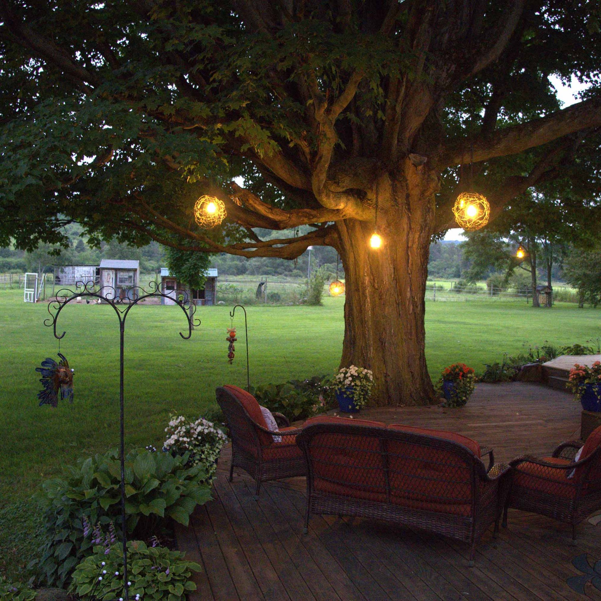 sitting area with wicker furniture with red cushions on the back deck under the big tree with circular lights hanging. View towards the field
