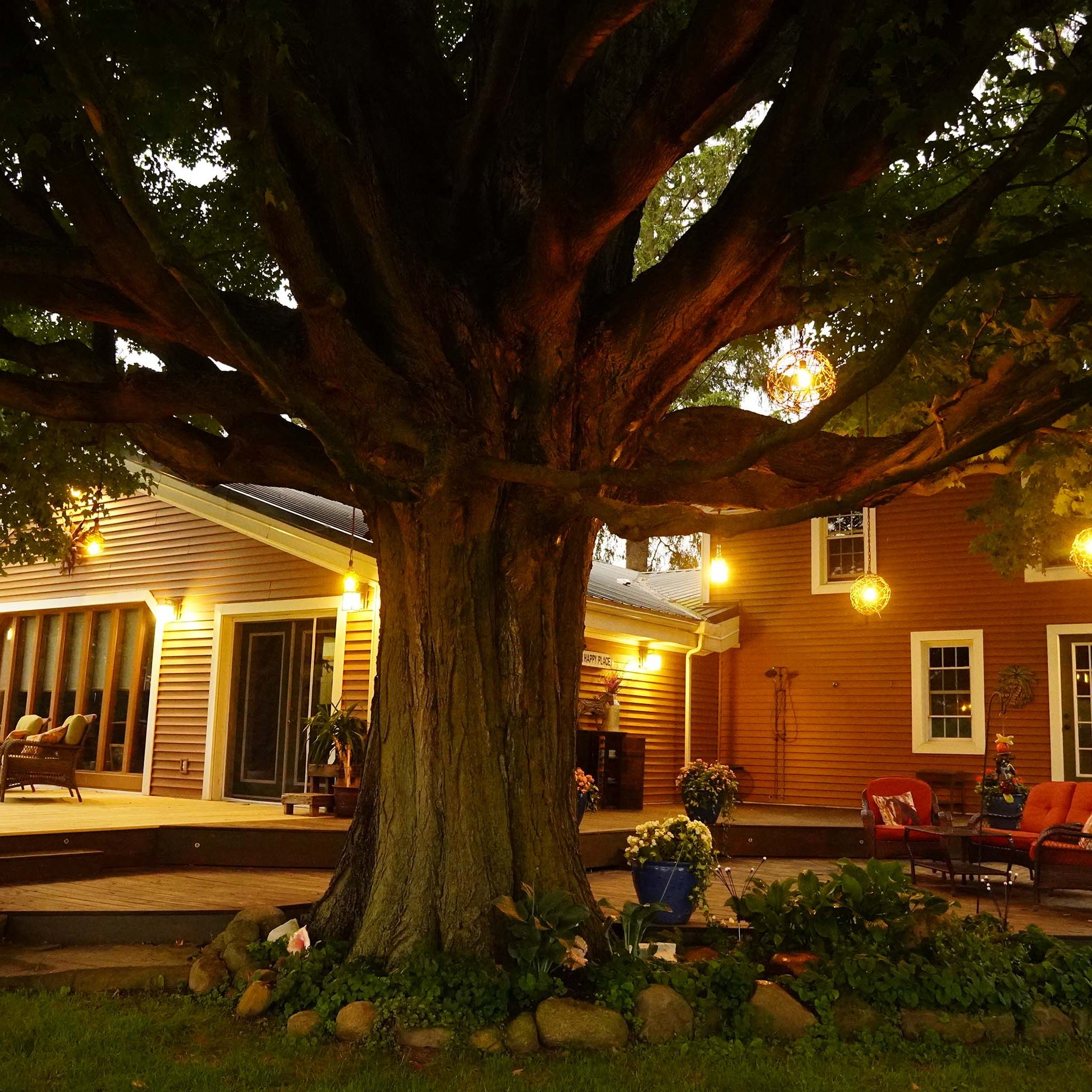 Back patio later in the day with the low orange lights on with the tree in the middle