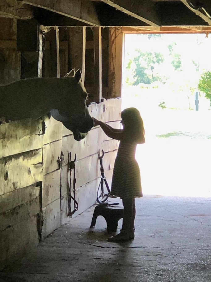 young girl petting a horse