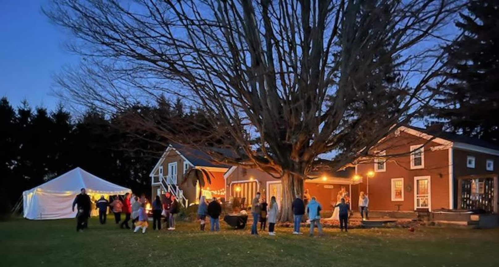 party in the fall at night under the big tree with no leaves with a white tent on the left. Orange low lights light the scene